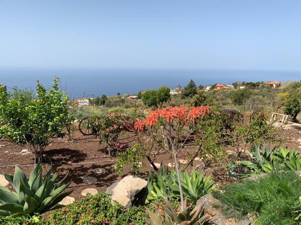 Hrlos Piratas - Ferien Haus La Palma - Good Wlan !! Tijarafe Dış mekan fotoğraf